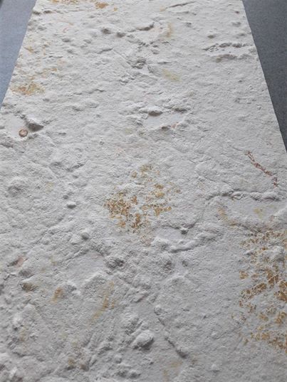 Мраморный шпон Blanco Mate